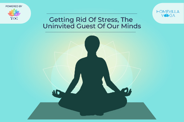 Get Rid of Stress: The Uninvited Guests of Our Mind 
