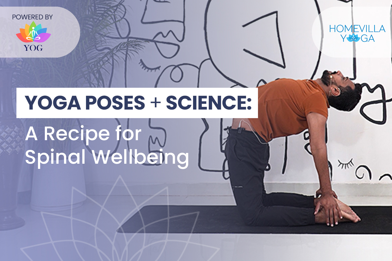 Yoga Poses + Science = A Recipe for Spinal Wellbeing